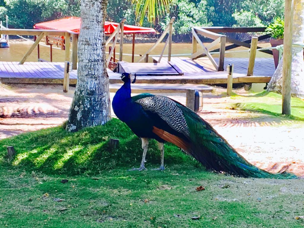 Pousada Ilha Do Desejo Olivença 外观 照片