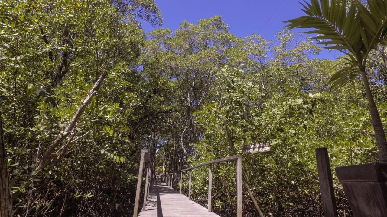 Pousada Ilha Do Desejo Olivença 外观 照片